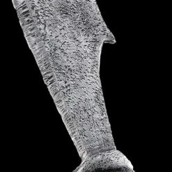 Morris "26 Inch Foam Cutlass Sword" Horror Weapon Halloween Prop