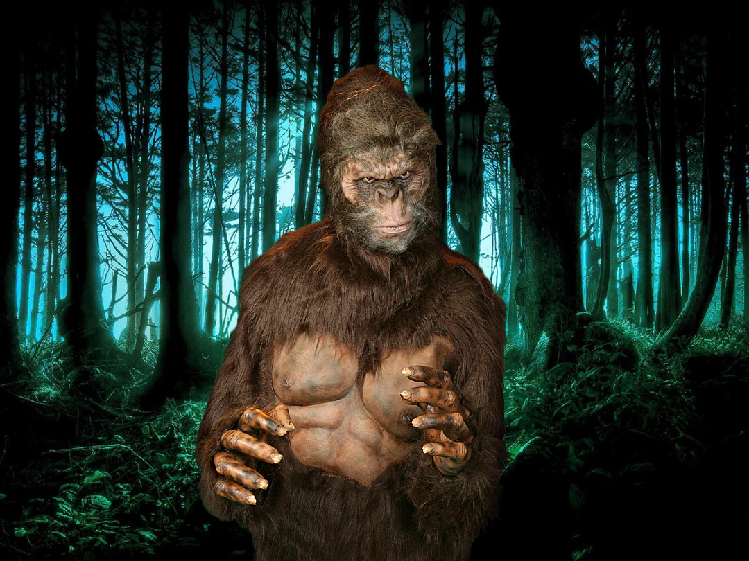 The Horror Dome Shop -The Horror Dome Shop