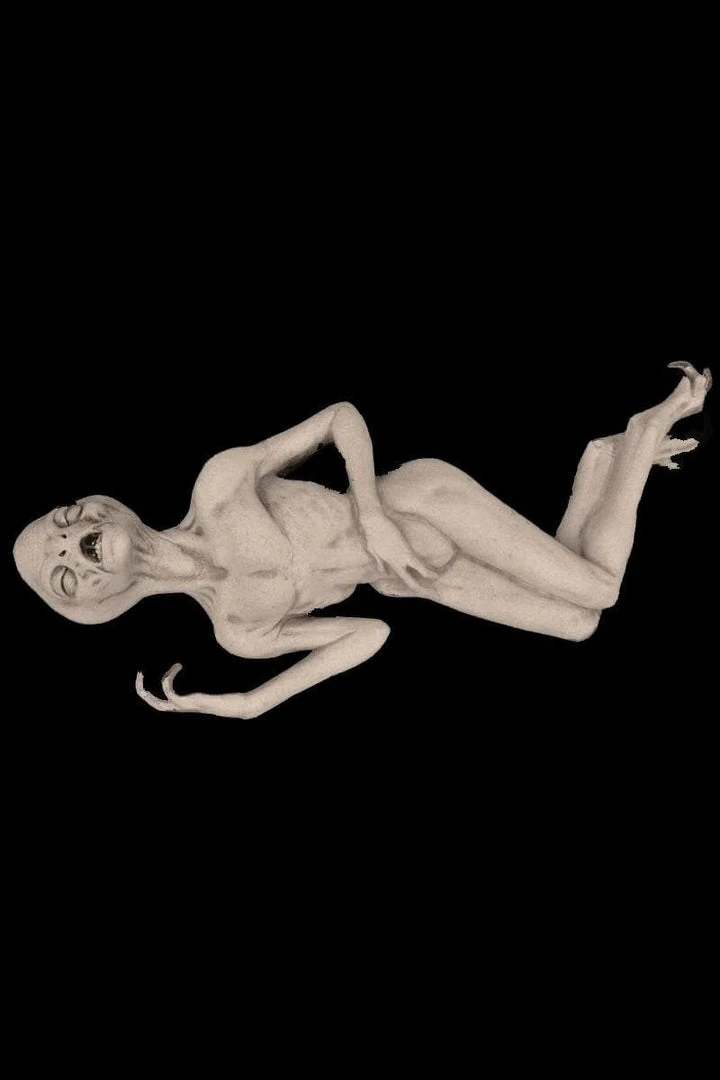 Distortions "Alien Death" Sci-Fi Prop 3 Distortions "Alien Death" Sci-Fi Prop