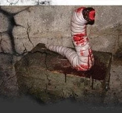 DC Props "Amplus Vermin" Halloween Animatronic Animatronics