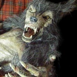 The Horror Dome "Baby Werewolf Puppet" HD Studios Halloween Prop