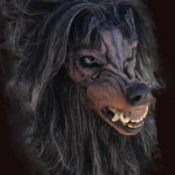 The Horror Dome Masks