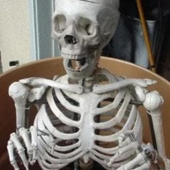 DC Props "Barrel Spitter Skeleton" Halloween Animatronic Animatronics