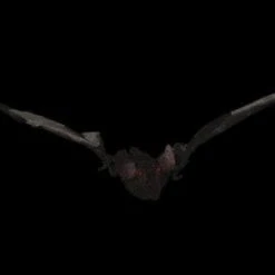 Morris "Bat With Light-up Eyes" Hanging Halloween Prop - 54 Inches Props