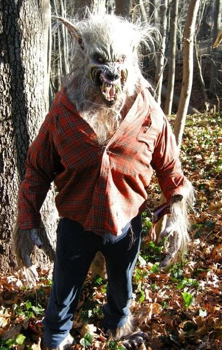The Horror Dome "Big Bad Wolf" HD Studios Pro Costume 4 The Horror Dome "Big Bad Wolf" HD Studios Pro Costume