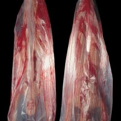 Distortions Hanging Decorations "Body Bag Thrasher" Halloween Animatronic