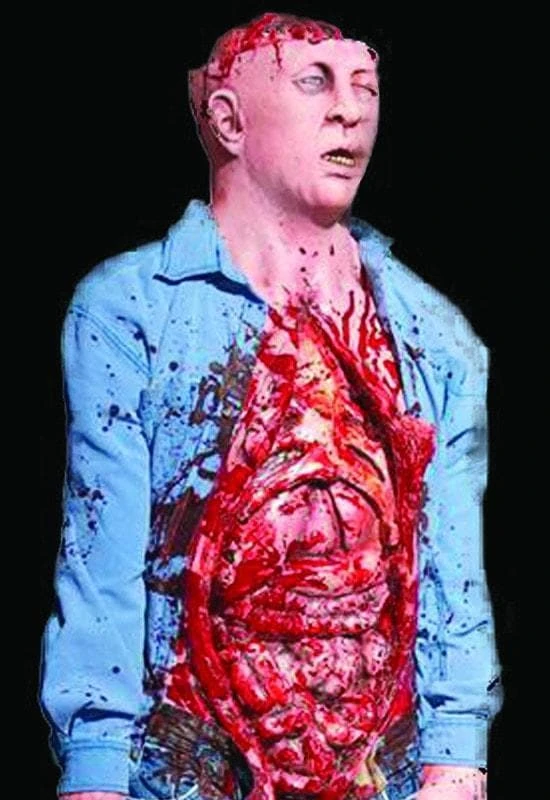 Distortions "Bowel Movement" Electric Animated Bloody Halloween Prop Props 3 Distortions "Bowel Movement" Electric Animated Bloody Halloween Prop Props