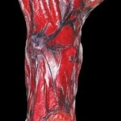 Morris "Burnt Arm" Gory Halloween Prop Props