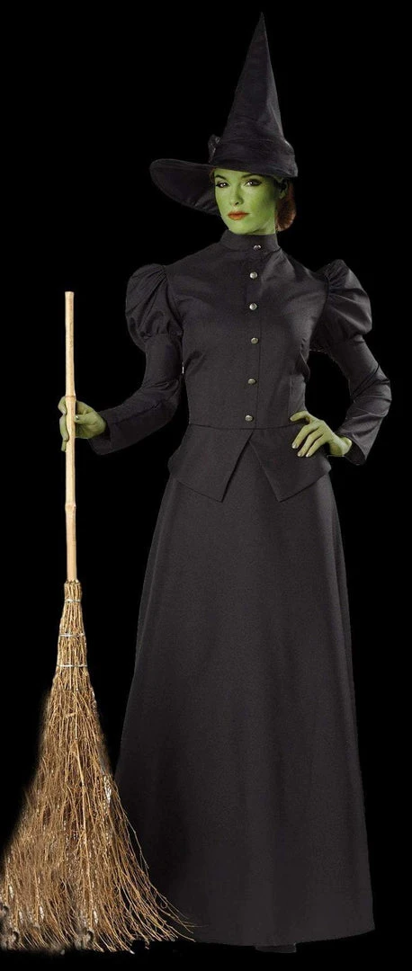 Morris "Classic Witch" Deluxe Costume Costumes 3 Morris "Classic Witch" Deluxe Costume Costumes