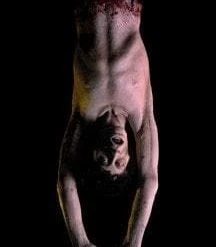 Distortions Animatronics "Cool Jerk" Halloween Animatronic