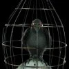 Morris Props "Crow In Cage" Animated Halloween Prop