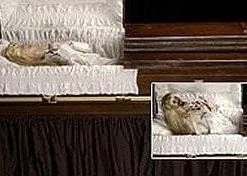 Distortions "Dead And Deader" Professional Halloween Animatronic