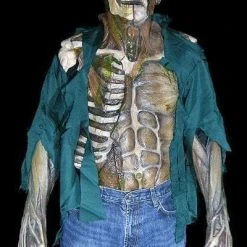 The Horror Dome "Decayed Zombie" HD Studios Pro Costume Costumes