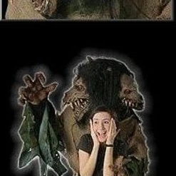 The Horror Dome "Double Trouble" HD Studios Costume Costumes 9 The Horror Dome