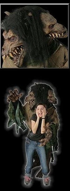 The Horror Dome "Double Trouble" HD Studios Costume Costumes 5 The Horror Dome "Double Trouble" HD Studios Costume Costumes