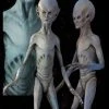Midnight Studios "EBE Extraterrestrial Biological Entity" Professional Alien Prop Props
