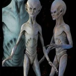 Midnight Studios "EBE Extraterrestrial Biological Entity" Professional Alien Prop Props