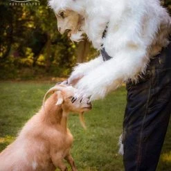 The Horror Dome Costumes "Evil Goat Man" HD Studios Pro Costume 15 The Horror Dome Costumes