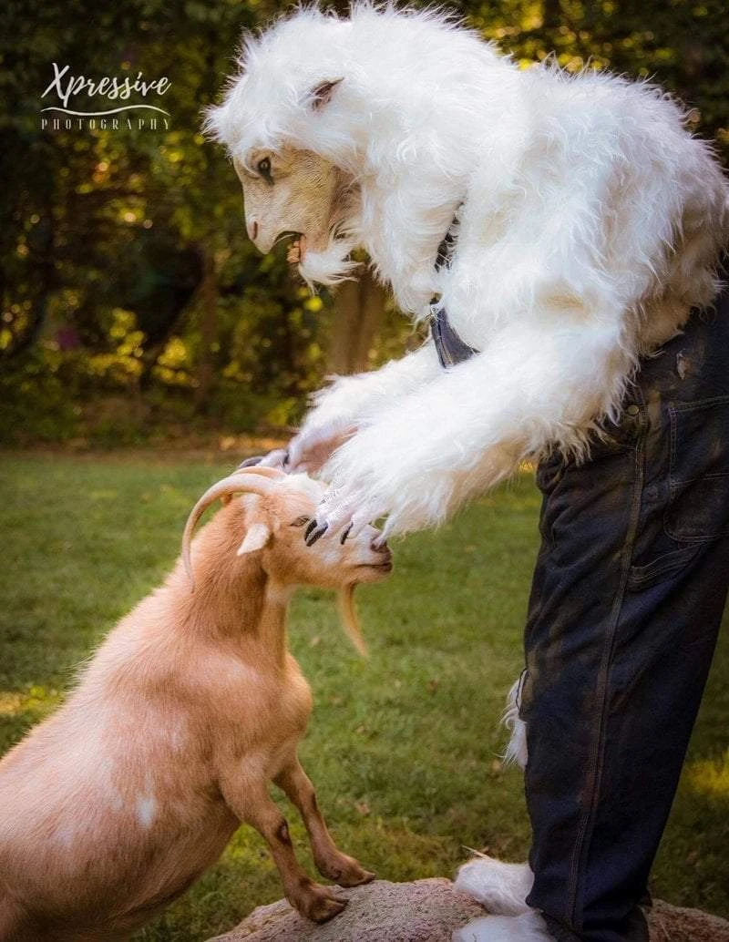 The Horror Dome Costumes "Evil Goat Man" HD Studios Pro Costume 8 The Horror Dome Costumes "Evil Goat Man" HD Studios Pro Costume