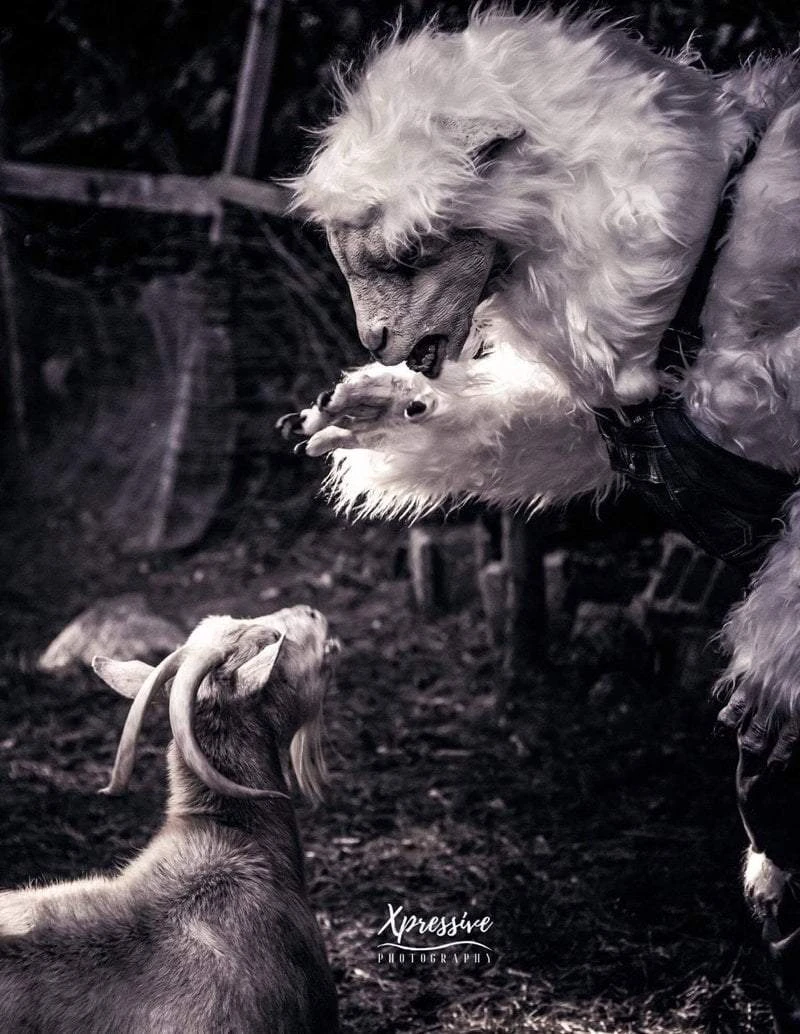 The Horror Dome Costumes "Evil Goat Man" HD Studios Pro Costume 10 The Horror Dome Costumes "Evil Goat Man" HD Studios Pro Costume