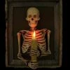 Skeletons And More Realistic Props "Framed 3D Skeleton Torso Holding Candle" Hanging Haunted House Decoration
