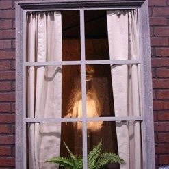 Distortions "Ghostly Window" Haunted House Animatronic