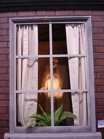 Distortions "Ghostly Window" Haunted House Animatronic 3 Distortions "Ghostly Window" Haunted House Animatronic