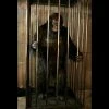 The Horror Dome Animatronics "Gorilla In A Cage" Professional Halloween Animatronic 1 The Horror Dome Animatronics "Gorilla In A Cage" Professional Halloween Animatronic
