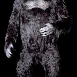 Distortions Props "Gorilla" Professional Halloween Prop - 7 Foot Tall