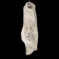 The Horror Dome "Graveyard" Halloween Props - Package Deal 11 The Horror Dome