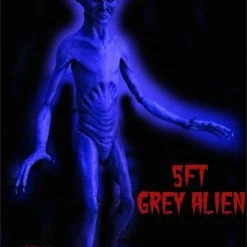 The Horror Dome "Grey Alien" Movie-Quality Professional Prop Props