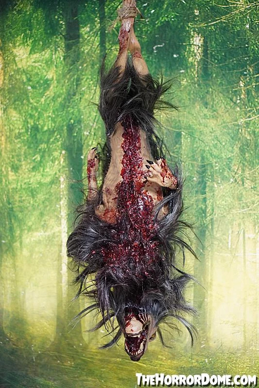 The Horror Dome Gutted Baby Werewolf Hanging Prop Props 6 The Horror Dome Gutted Baby Werewolf Hanging Prop Props