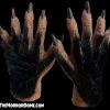 The Horror Dome Hands & Feet Monster Hands With Black Hair - HD Studios 1 The Horror Dome Hands & Feet Monster Hands With Black Hair - HD Studios