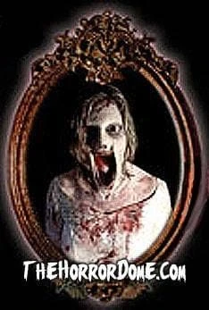 Night Frights "Haunted Mirror - Scary Mary" Professional Animated Halloween Decoration 5 Night Frights "Haunted Mirror - Scary Mary" Professional Animated Halloween Decoration