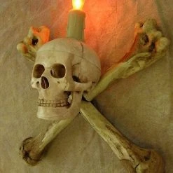 Skeletons And More "Humerus Bone Wall Sconce With 3 Inch Skull" Haunted House Lighting 7 Skeletons And More