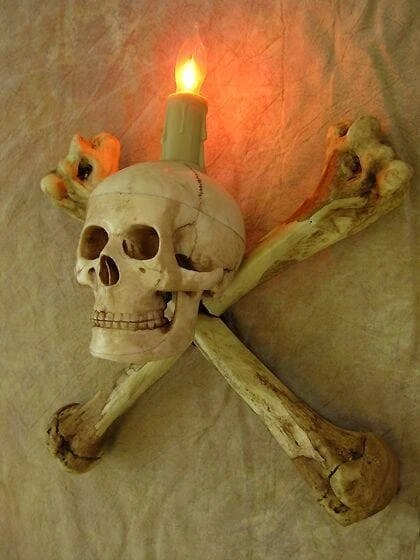 Skeletons And More "Humerus Bone Wall Sconce With 3 Inch Skull" Haunted House Lighting 4 Skeletons And More "Humerus Bone Wall Sconce With 3 Inch Skull" Haunted House Lighting