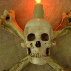 Skeletons And More "Humerus Bone Wall Sconce With 3 Inch Skull" Haunted House Lighting 8 Skeletons And More