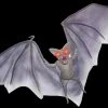 Morris Props "Light Up Demon Bat" Halloween Animal Prop