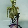 DC Props "Mini Popper" Skeleton Halloween Animatronic Animatronics