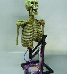 DC Props "Mini Popper" Skeleton Halloween Animatronic Animatronics