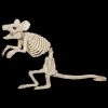 Morris "Mouse Skeleton" Animal Prop Props