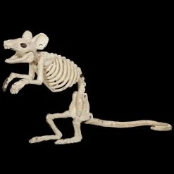 Morris "Mouse Skeleton" Animal Prop Props