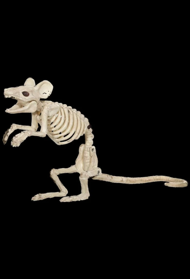 Morris "Mouse Skeleton" Animal Prop Props 3 Morris "Mouse Skeleton" Animal Prop Props