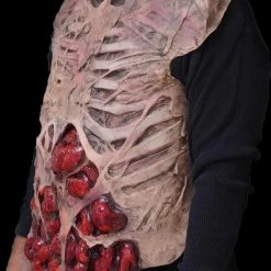The Horror Dome Movie Quality Rotted Zombie Chest" Halloween Costume Accessory