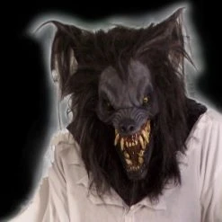 The Horror Dome Costumes "Night Rage" HD Studios Costume