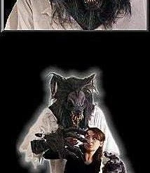 The Horror Dome Costumes