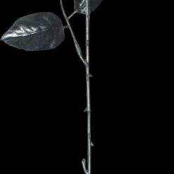 Morris "One Dozen Black Roses With Eyes" Halloween Accessory Prop Accessories