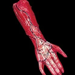 Morris "Peeled Flesh - Right Arm" Human Body Part Halloween Prop