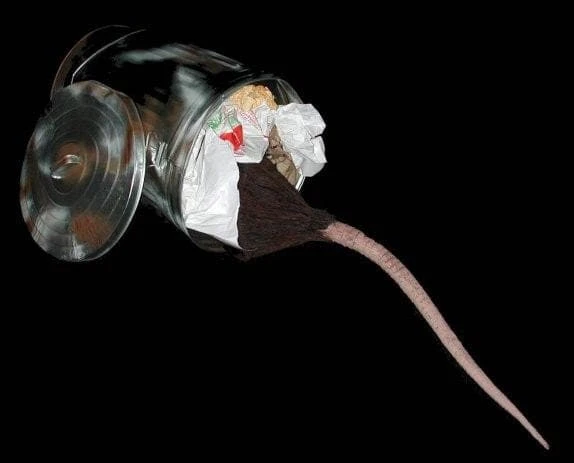 Distortions "Rats" Halloween Animatronic 3 Distortions "Rats" Halloween Animatronic