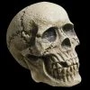 Morris "Realistic Rotting Skull" Halloween Prop